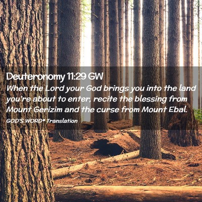 Picture 02 - Deuteronomy 11:29 GW - When the Lord your God brings you into the land - Bible Verse Picture