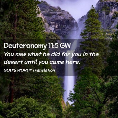 Picture 02 - Deuteronomy 11:5 GW - You saw what he did for you in the desert until - Bible Verse Picture