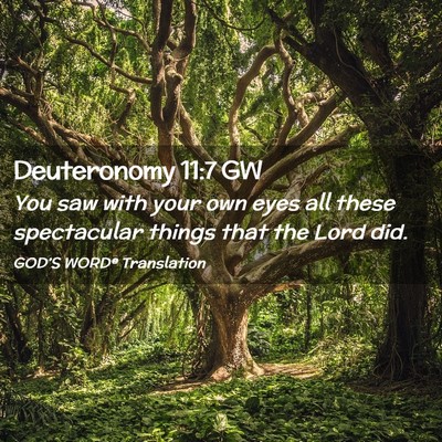 Picture 02 - Deuteronomy 11:7 GW - You saw with your own eyes all these spectacular - Bible Verse Picture