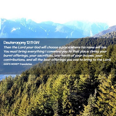 Picture 02 - Deuteronomy 12:11 GW - Then the Lord your God will choose a place where - Bible Verse Picture
