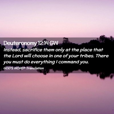 Picture 02 - Deuteronomy 12:14 GW - Instead, sacrifice them only at the place that - Bible Verse Picture