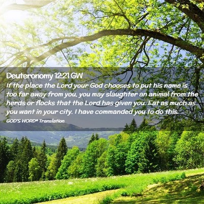 Picture 02 - Deuteronomy 12:21 GW - If the place the Lord your God chooses to put his - Bible Verse Picture