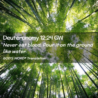 Picture 02 - Deuteronomy 12:24 GW - Never eat blood. Pour it on the ground like - Bible Verse Picture