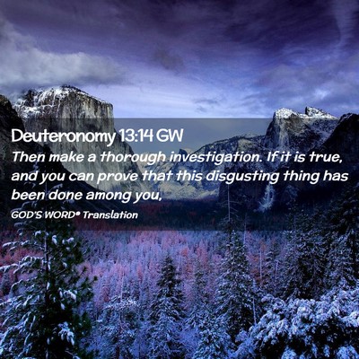 Picture 02 - Deuteronomy 13:14 GW - Then make a thorough investigation. If it is - Bible Verse Picture