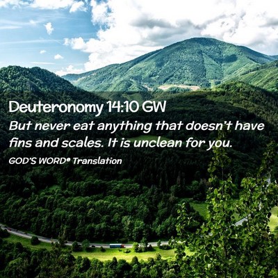 Picture 02 - Deuteronomy 14:10 GW - But never eat anything that doesn’t have fins - Bible Verse Picture
