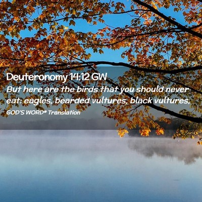 Picture 02 - Deuteronomy 14:12 GW - But here are the birds that you should never eat: - Bible Verse Picture