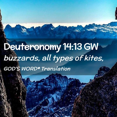 Picture 02 - Deuteronomy 14:13 GW - buzzards, all types of - Bible Verse Picture