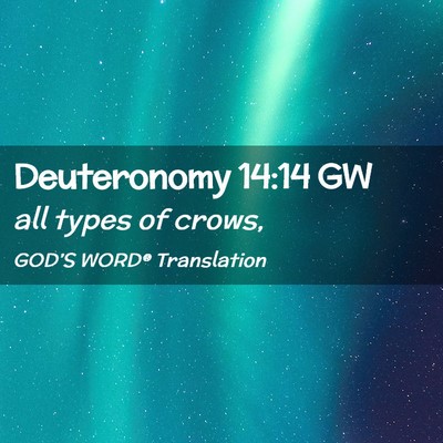 Picture 02 - Deuteronomy 14:14 GW - all types of - Bible Verse Picture