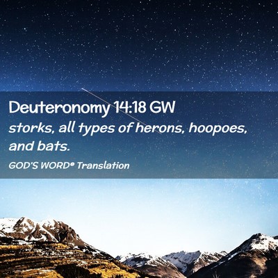 Picture 02 - Deuteronomy 14:18 GW - storks, all types of herons, hoopoes, and - Bible Verse Picture