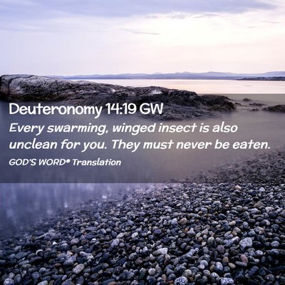 Picture 02 - Deuteronomy 14:19 GW - Every swarming, winged insect is also unclean for - Bible Verse Picture
