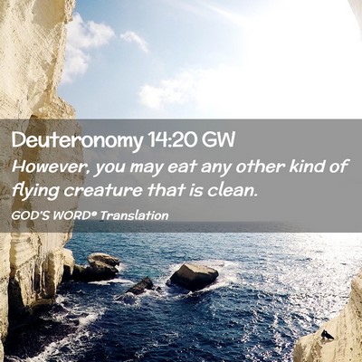 Picture 02 - Deuteronomy 14:20 GW - However, you may eat any other kind of flying - Bible Verse Picture