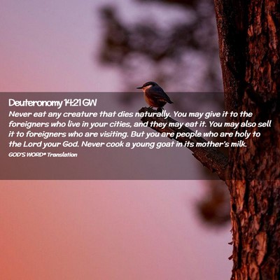 Picture 02 - Deuteronomy 14:21 GW - Never eat any creature that dies naturally. You - Bible Verse Picture