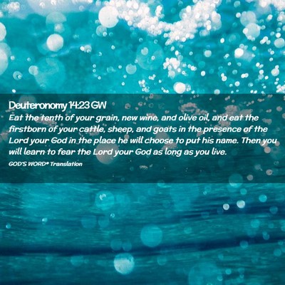 Picture 02 - Deuteronomy 14:23 GW - Eat the tenth of your grain, new wine, and olive - Bible Verse Picture