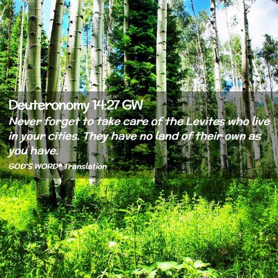 Picture 02 - Deuteronomy 14:27 GW - Never forget to take care of the Levites who live - Bible Verse Picture