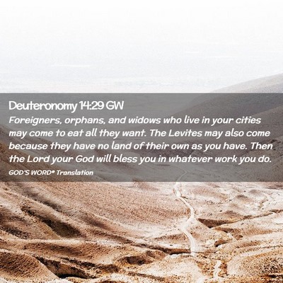 Picture 02 - Deuteronomy 14:29 GW - Foreigners, orphans, and widows who live in your - Bible Verse Picture