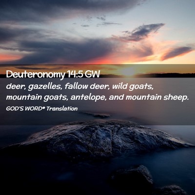 Picture 02 - Deuteronomy 14:5 GW - deer, gazelles, fallow deer, wild goats, mountain - Bible Verse Picture