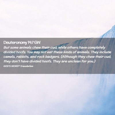Picture 02 - Deuteronomy 14:7 GW - But some animals chew their cud, while others - Bible Verse Picture
