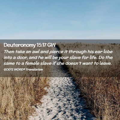 Picture 02 - Deuteronomy 15:17 GW - Then take an awl and pierce it through his ear - Bible Verse Picture
