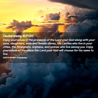 Picture 02 - Deuteronomy 16:11 GW - Enjoy yourselves in the presence of the Lord your - Bible Verse Picture