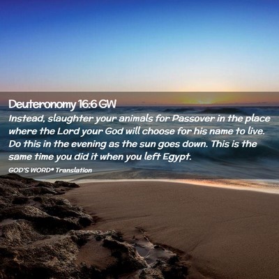 Picture 02 - Deuteronomy 16:6 GW - Instead, slaughter your animals for Passover in - Bible Verse Picture