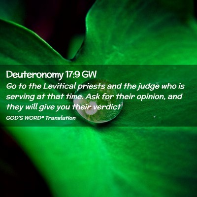 Picture 02 - Deuteronomy 17:9 GW - Go to the Levitical priests and the judge who is - Bible Verse Picture
