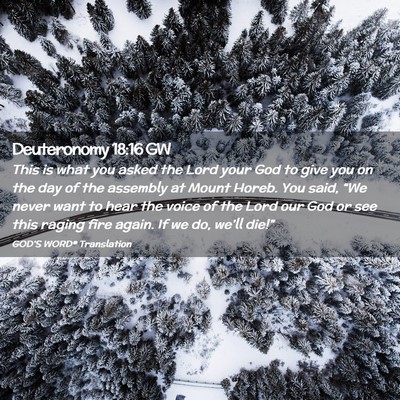 Picture 02 - Deuteronomy 18:16 GW - This is what you asked the Lord your God to give - Bible Verse Picture