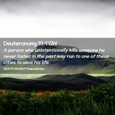 Picture 02 - Deuteronomy 19:4 GW - A person who unintentionally kills someone he - Bible Verse Picture