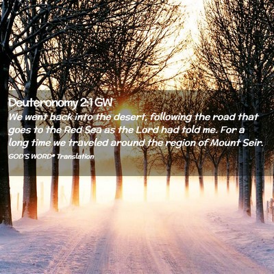 Picture 02 - Deuteronomy 2:1 GW - We went back into the desert, following the road - Bible Verse Picture