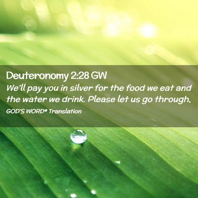 Picture 02 - Deuteronomy 2:28 GW - We’ll pay you in silver for the food we eat and - Bible Verse Picture