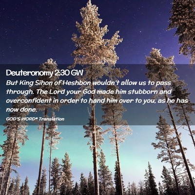 Picture 02 - Deuteronomy 2:30 GW - But King Sihon of Heshbon wouldn’t allow us to - Bible Verse Picture