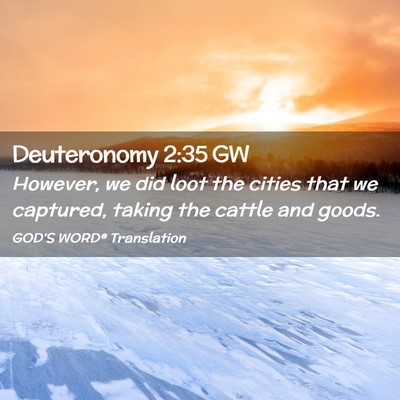 Picture 02 - Deuteronomy 2:35 GW - However, we did loot the cities that we captured, - Bible Verse Picture