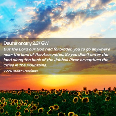 Picture 02 - Deuteronomy 2:37 GW - But the Lord our God had forbidden you to go - Bible Verse Picture