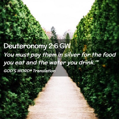 Picture 02 - Deuteronomy 2:6 GW - You must pay them in silver for the food you eat - Bible Verse Picture