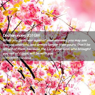 Picture 02 - Deuteronomy 20:1 GW - When you go to war against your enemies, you may - Bible Verse Picture