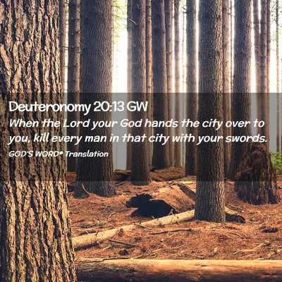 Picture 02 - Deuteronomy 20:13 GW - When the Lord your God hands the city over to - Bible Verse Picture