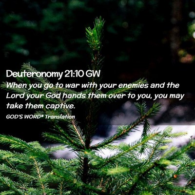 Picture 02 - Deuteronomy 21:10 GW - When you go to war with your enemies and the Lord - Bible Verse Picture