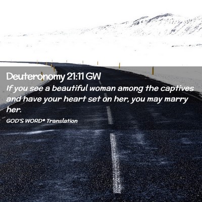 Picture 02 - Deuteronomy 21:11 GW - If you see a beautiful woman among the captives - Bible Verse Picture