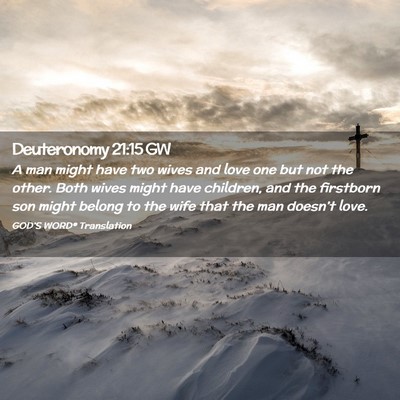 Picture 02 - Deuteronomy 21:15 GW - A man might have two wives and love one but not - Bible Verse Picture