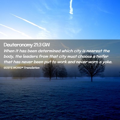Picture 02 - Deuteronomy 21:3 GW - When it has been determined which city is nearest - Bible Verse Picture