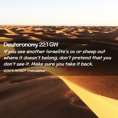 Picture 02 - Deuteronomy 22:1 GW - If you see another Israelite’s ox or sheep out - Bible Verse Picture