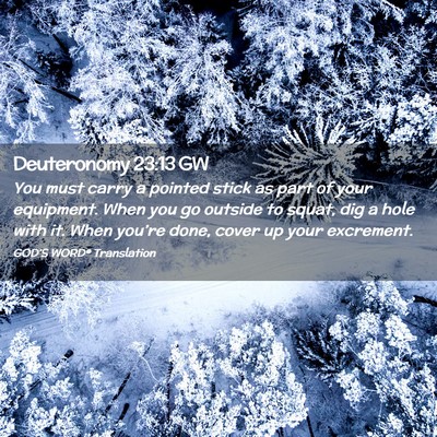 Picture 02 - Deuteronomy 23:13 GW - You must carry a pointed stick as part of your - Bible Verse Picture