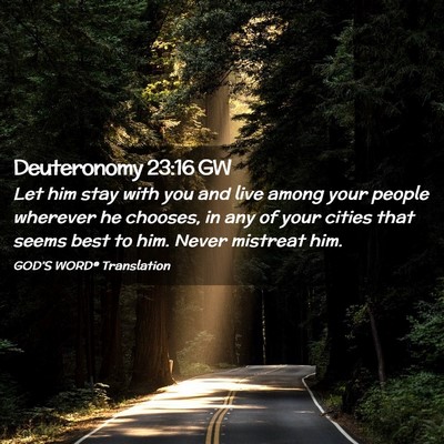 Picture 02 - Deuteronomy 23:16 GW - Let him stay with you and live among your people - Bible Verse Picture