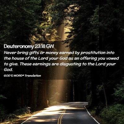 Picture 02 - Deuteronomy 23:18 GW - Never bring gifts or money earned by prostitution - Bible Verse Picture
