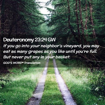 Picture 02 - Deuteronomy 23:24 GW - If you go into your neighbor’s vineyard, you - Bible Verse Picture