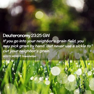 Picture 02 - Deuteronomy 23:25 GW - If you go into your neighbor’s grain field, you - Bible Verse Picture
