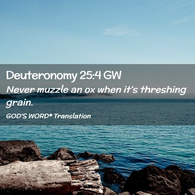 Picture 02 - Deuteronomy 25:4 GW - Never muzzle an ox when it’s threshing - Bible Verse Picture
