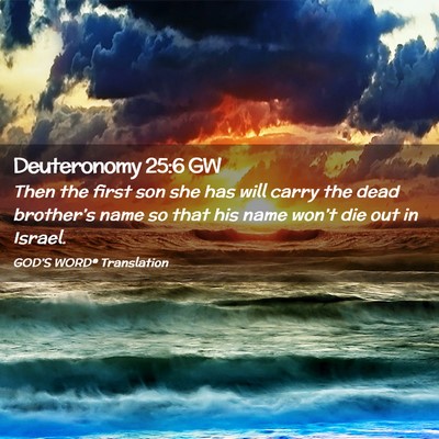 Picture 02 - Deuteronomy 25:6 GW - Then the first son she has will carry the dead - Bible Verse Picture