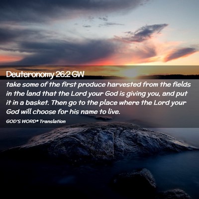 Picture 02 - Deuteronomy 26:2 GW - take some of the first produce harvested from the - Bible Verse Picture