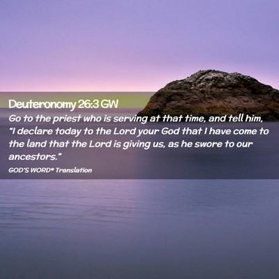 Picture 02 - Deuteronomy 26:3 GW - Go to the priest who is serving at that time, and - Bible Verse Picture