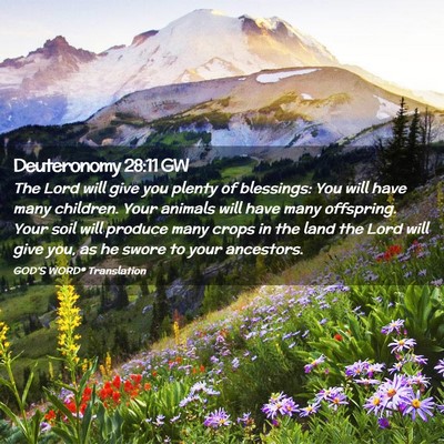 Picture 02 - Deuteronomy 28:11 GW - The Lord will give you plenty of blessings: You - Bible Verse Picture